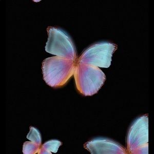 Meet your Posher, Asher